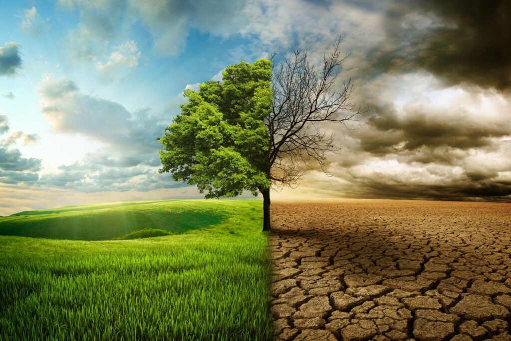symboliczne zdjęcie przedstawiajace zmiany klimatu: po rawej wysuszona ziemia i uschnięte drzewo, a o lewej zielona trawa i zielone drzewo