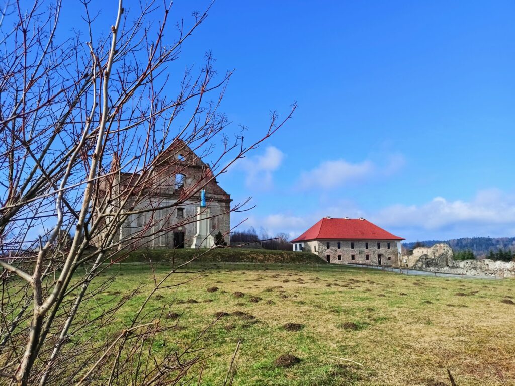 Ruiny klasztoru Karmelitów bosych w Zagórzu. Fot. CK Foresterium