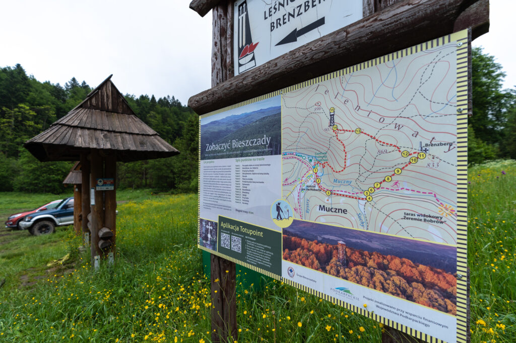 Tablica informacyjna ustawiona wśród zielonej trawy i żółtych kwiatów z mapą trasy prowadzącej na wieżę widokową